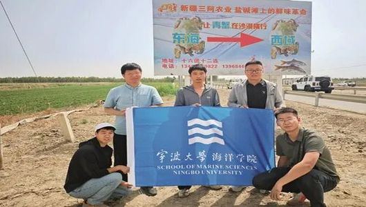 宁波大学王欢博士团队：盐碱地上养海鲜　开辟乡村振兴新赛道