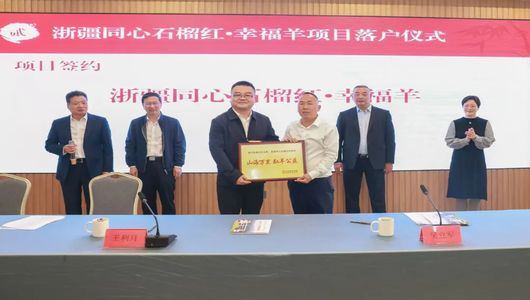 万里传情石榴红  一羊牵起“浙疆心”