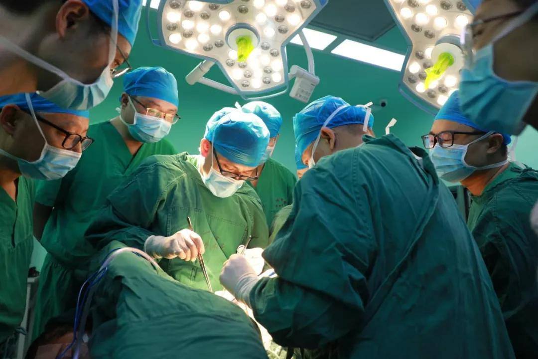 跨越4500公里的生命奇迹：17岁“补肺”少女今日重生